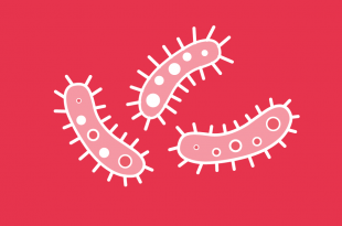 Qué son las hepatitis