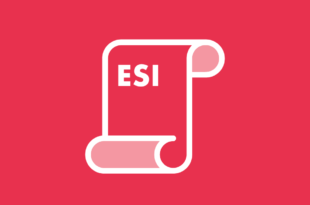 Comunidad educativa - Ley de ESI